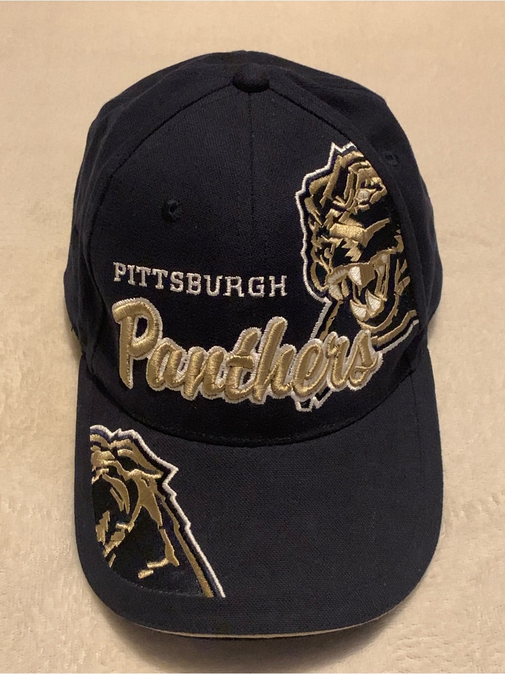 Pitt Panthers hat